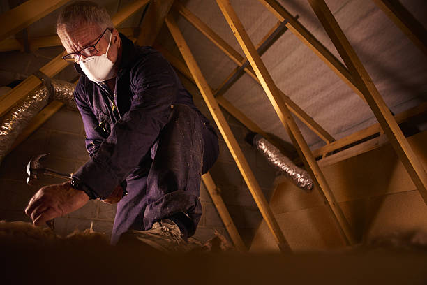 Best DIY Insulation Kits and Guidance in Pinetop Lakeside, AZ